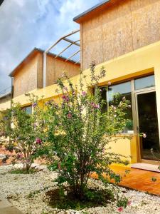 two trees in front of a yellow building at Black Stone Family Garden Villa in Yaoqiaoyu