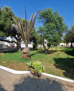 Ogród w obiekcie Las Casas de Las Flores