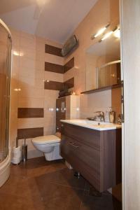 a bathroom with a sink and a toilet and a shower at Apartment Plutus in Biograd na Moru