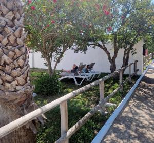 Ogród w obiekcie Las Casas de Las Flores