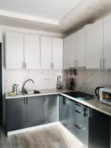 a kitchen with stainless steel appliances and white cabinets at Apartmets Domovik Мира 11с кв 7 Вместительная трёхкомнатная квартира in Mukacheve