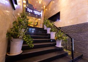 a group of potted plants on the stairs of a store at Anpha Boutique Hotel in Ho Chi Minh City