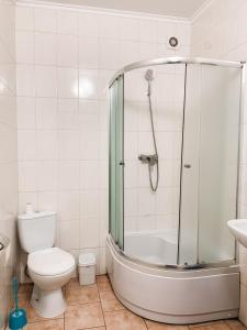 a bathroom with a shower and a toilet and a sink at Apartments Domovik Мостова 5 кв 38 in Mukacheve