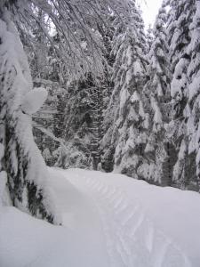 ALMET štúdio 404 during the winter