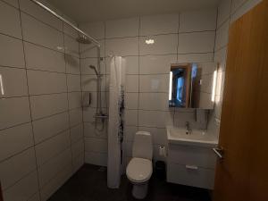 a bathroom with a shower and a toilet and a sink at Sefdalur in Höfn