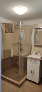a bathroom with a shower and a sink at Bathy Ház in Tiszakécske