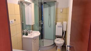a bathroom with a shower and a sink and a toilet at Apartmani SIDRANA in Stomorska