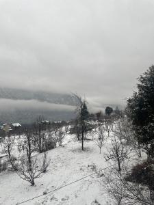 Το Hotel Cherry Manali τον χειμώνα
