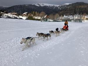ALMET štúdio 404 during the winter