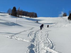 ALMET štúdio 404 during the winter