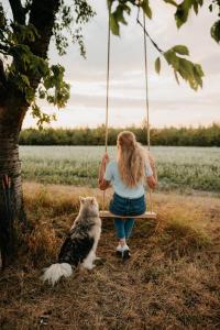 Domácí mazlíčci ubytovaní s hosty v ubytování Bojanovská Glamping + 3 fotografie