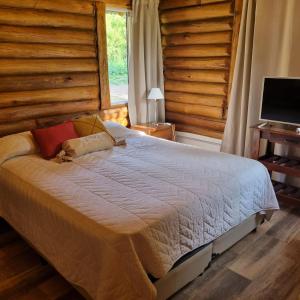 Un dormitorio con una cama grande y un televisor. en Cabaña Cielos del Champaqui 6 kms VGB, en Villa Ciudad Parque