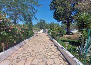 a stone walkway in a garden with flowers and trees at La grangette in Marseillan