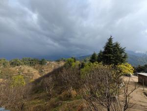 Φωτογραφία από το άλμπουμ του The Maiden's Blush σε Chachyot +33 φωτογραφίες