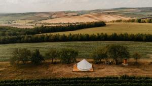 Příroda nedaleko luxury tent
