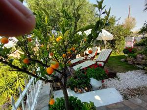 Zahrada ubytování Nikos Stone House 80m from the beach with wifi