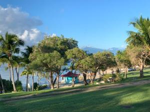 a park with palm trees and a view of the water at Le Cocon Créole studio vue mer Village Vacances in Sainte-Anne