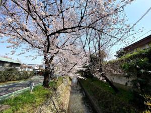 Foto sihtkohas Tokorozawa asuva majutusasutuse 桜並木と航空公園の近くにある閑静なお部屋 最大5名 t10 galeriist