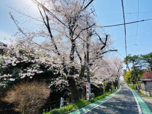 Foto sihtkohas Tokorozawa asuva majutusasutuse 桜並木と航空公園の近くにある閑静なお部屋 最大5名 t10 galeriist