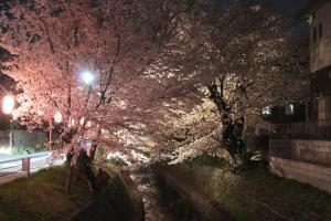 Aed väljaspool majutusasutust 桜並木と航空公園の近くにある閑静なお部屋 最大5名 t10