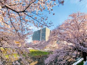 Aed väljaspool majutusasutust 桜並木と航空公園の近くにある閑静なお部屋 最大5名 t10