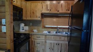 a kitchen with wooden cabinets and a sink and a refrigerator at Cabin 18 in Almont