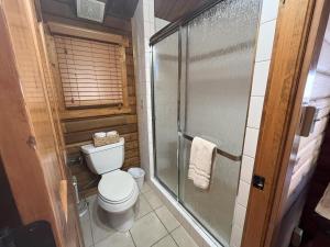 a bathroom with a toilet and a glass shower at Cabin 18 in Almont +9 photos