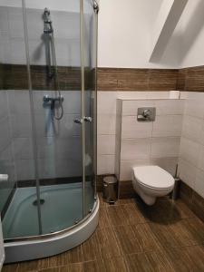 a bathroom with a shower and a toilet at Pokoje Gościnne pod Dębem in Popielów