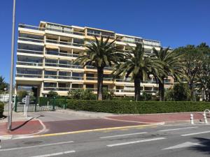 坎城的住宿－狄奧尼索斯海景公寓，一座棕榈树环绕的大建筑