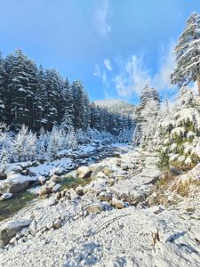 Hotel Old Manali by Himalayan Hotels, with Mountain View, Balcony, Terrace and Parking v zimě
