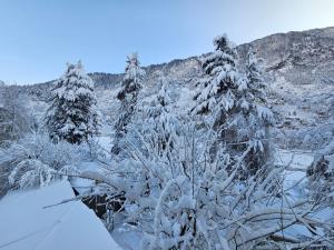 Hotel Old Manali by Himalayan Hotels, with Mountain View, Balcony, Terrace and Parking v zimě