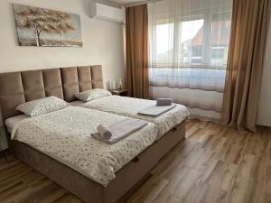 Apartman Ćirić في زاييتشار: غرفة نوم بها سرير ونافذة كبيرة