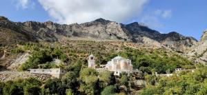 a house on a hill with mountains in the background at Tiny Haus Komos in Pitsidia