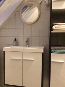 a bathroom with a sink and a mirror at Cosy attic apartment, terrace, 1 bedroom North in Buggenhout