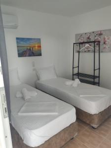 Postel nebo postele na pokoji v ubytování Akrotiri rooms