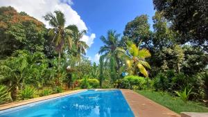 una piscina en un jardín con palmeras en Cycad Palm Diani, en Diani Beach