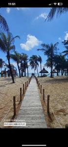 Naturlandskabet i nærheden af lejligheden + 3 billeder