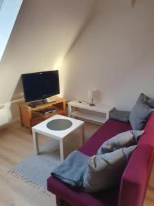 a living room with a couch and a tv at Monteurwohnung Sendberg Blick in Frielendorf