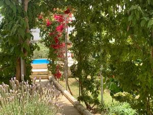 A garden outside B&B Don Alessandro