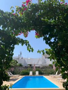 The swimming pool at or close to B&B Don Alessandro
