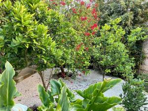 A garden outside B&B Don Alessandro