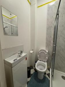 a bathroom with a toilet and a sink and a shower at 13 Summerhill South Cork Accommodation in Cork