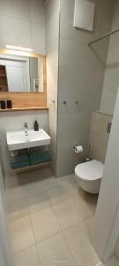 Ένα μπάνιο στο Apartmán LUMI Zadov +9 φωτογραφίες