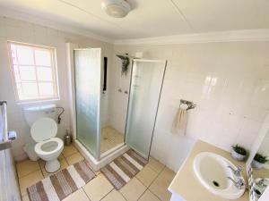 a bathroom with a shower and a toilet and a sink at Granny Reed's Cottage in Port Alfred
