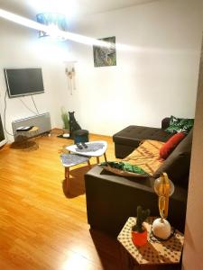 TV a/nebo společenská místnost v ubytování carré de détente JACUZZI JARDIN PISCINE T3 PARKING