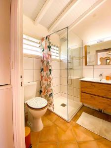 un bagno con doccia, WC e lavandino di La villa SunCloud a Le Diamant