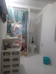 a bathroom with a shower with a sink and a toilet at Hostel José Mendes in Florianópolis