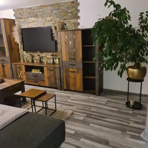TV a/nebo společenská místnost v ubytování Gemütliche Wohnung in St Georgen nähe Attersee