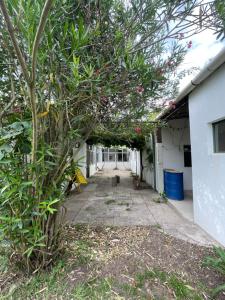 an alley way with a tree in front of a building at Casagrande Navarro in Navarro +2 photos
