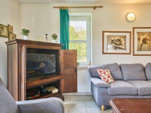 TV a/nebo společenská místnost v ubytování Holiday Home Stárkov by Interhome